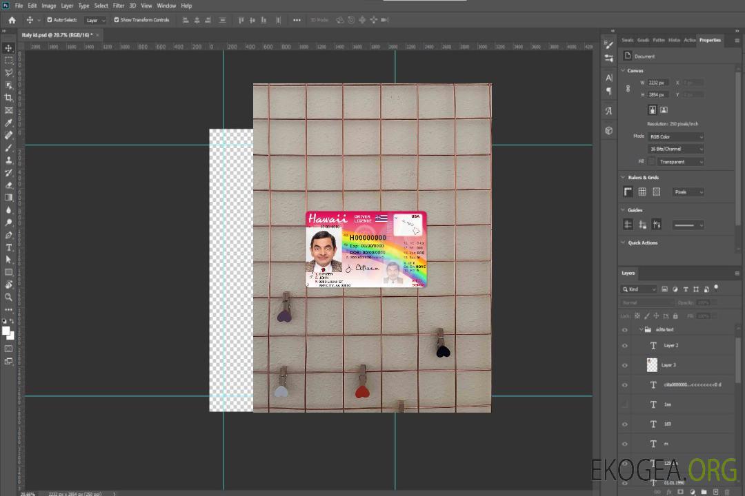 Hawaii DL photolook AVANT template
